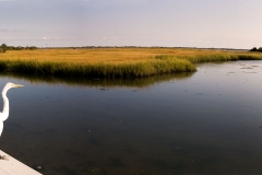 Marine-Nature- Preserve, Long Island, New York